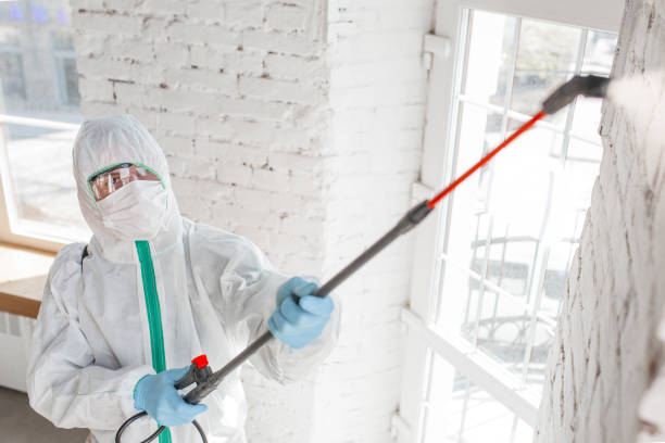 Best HVAC Mold Inspection and Cleaning  in East Orange, NJ