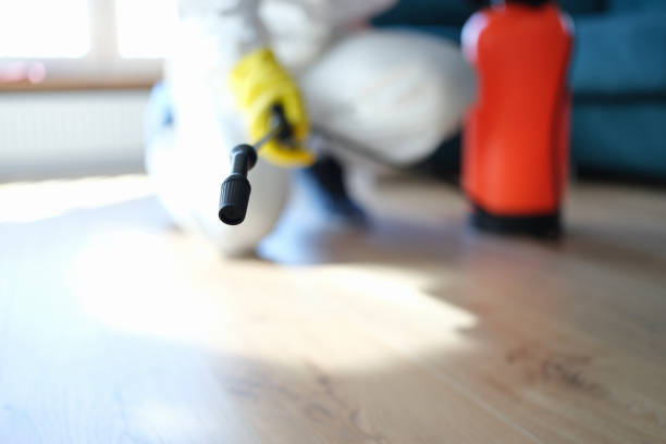 Best Mold Odor Removal Services  in East Orange, NJ